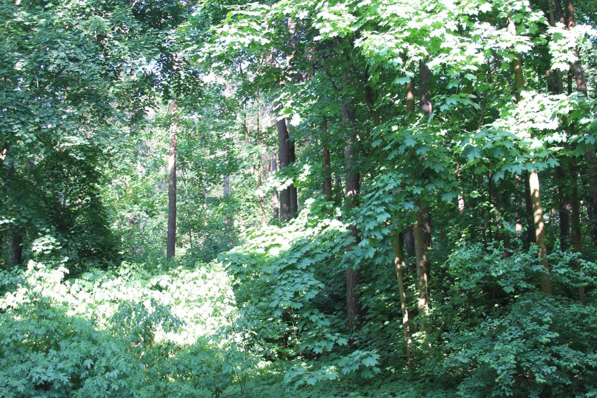Vingis Park With 2 Bedrooms & Free Parking Butas Vilnius